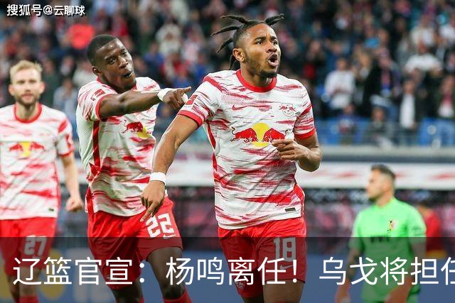 辽篮官宣：杨鸣离任！乌戈将担任辽宁男篮主帅
